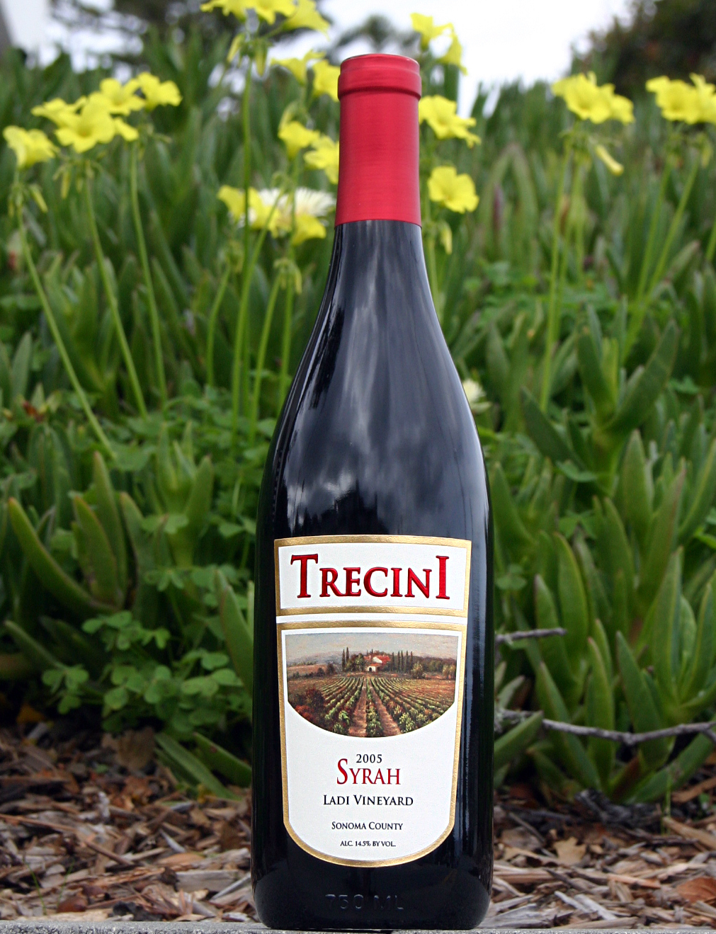 Trecini Cellars 2005 Somona County Syrah 750ml Wine Bottle