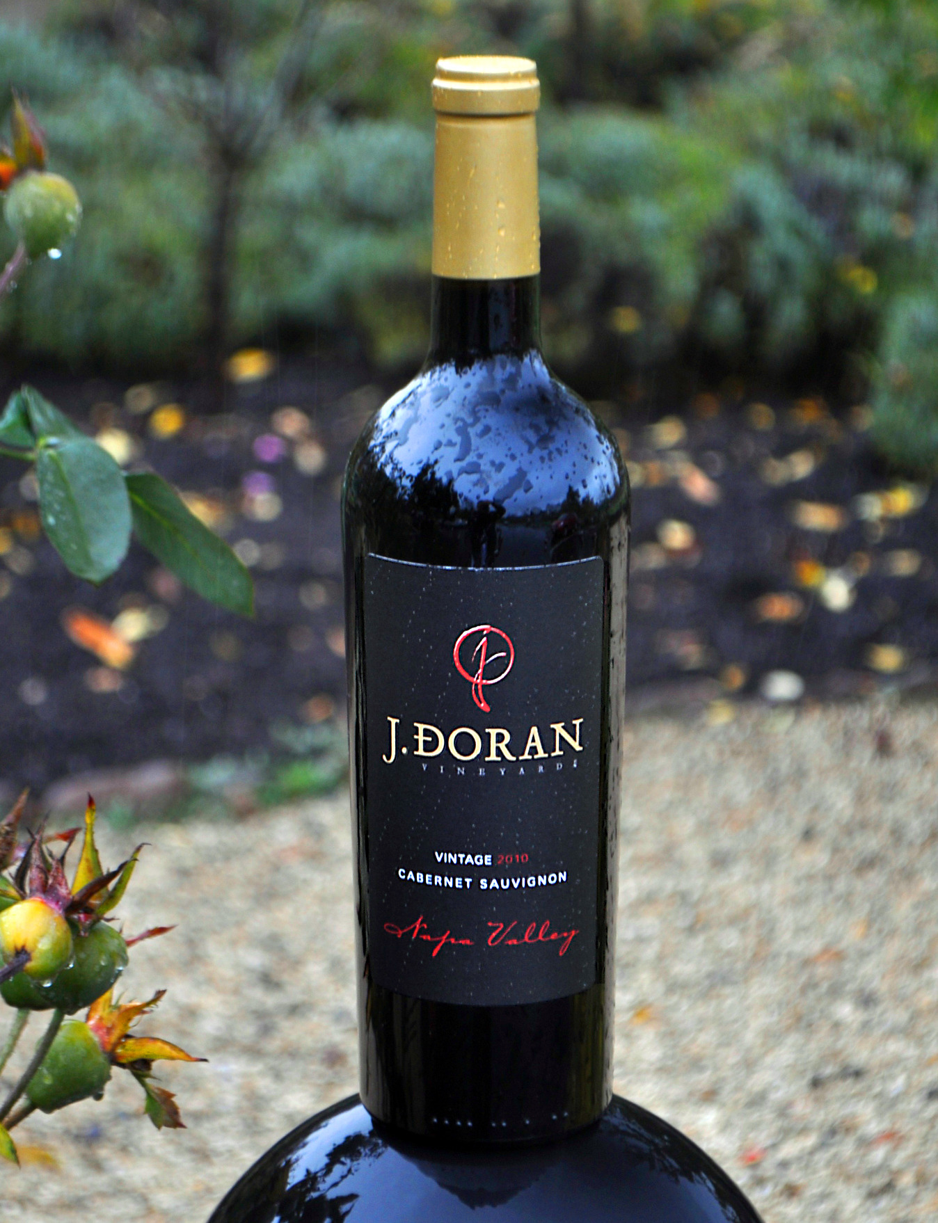 J. Doran Vineyards 2010 Cabernet Sauvignon 750ml Wine Bottle