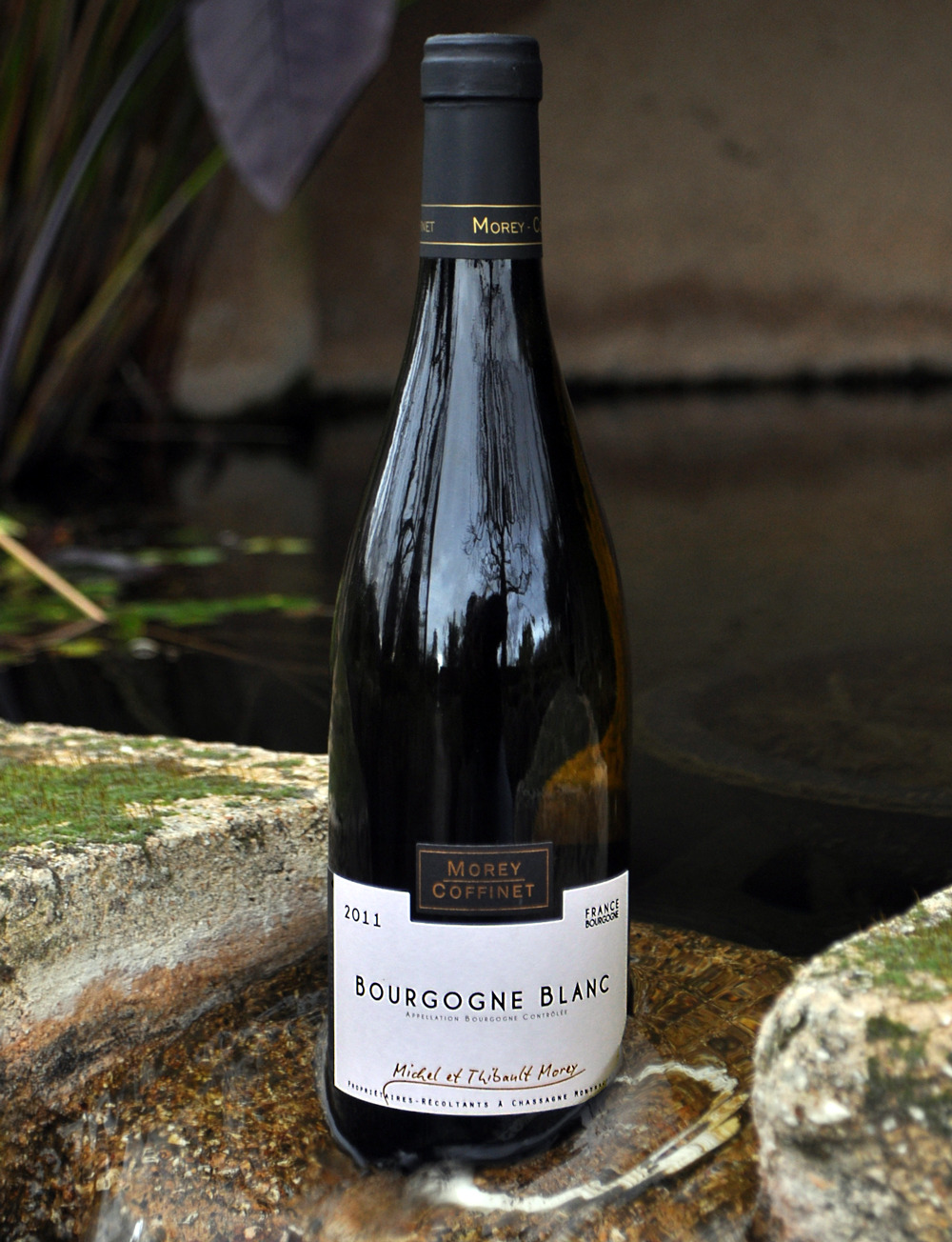 Domaine Morey Coffinet 2011 Bourgogne Blanc 750ml Wine Bottle