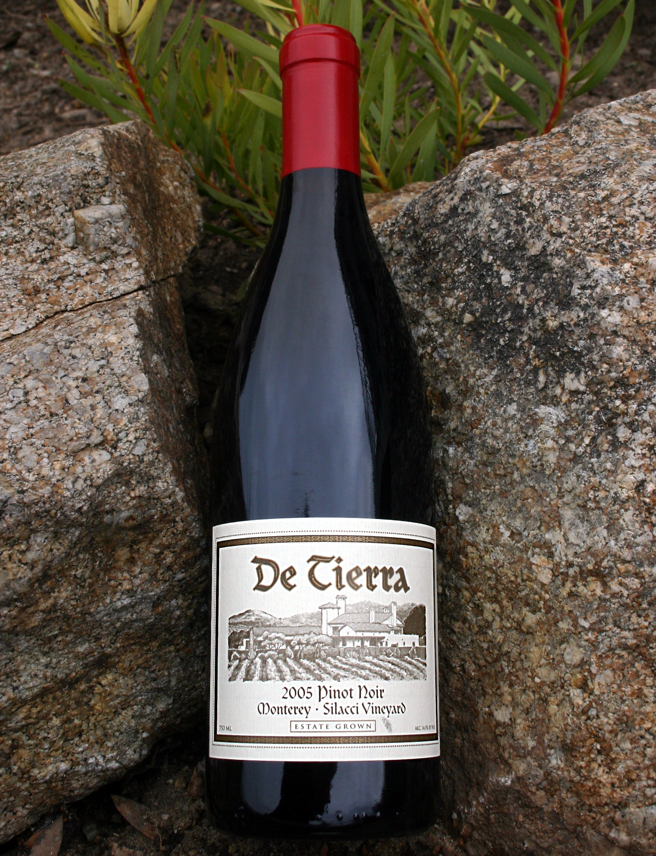 DeTierra Vineyards 2005 Silacci Vineyard Pinot Noir 750ml Wine Bottle