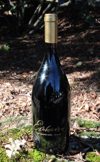 Canihan 2009 Exuberance Syrah 750ml Wine Bottle