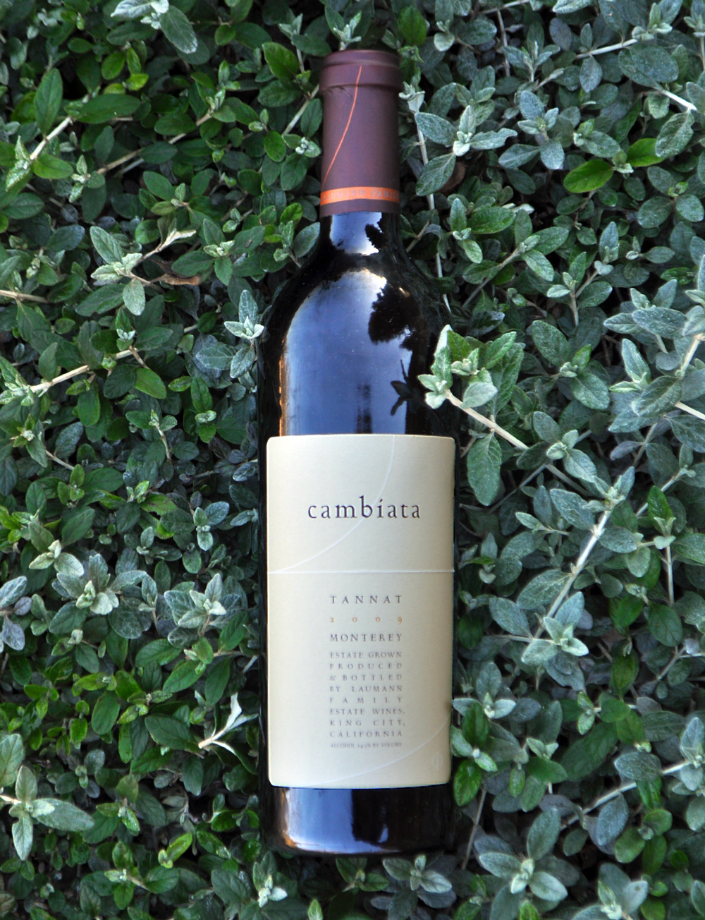 Cambiata Winery 2009 Rocosa Loma Vineyard Tannat 750ml Wine Bottle