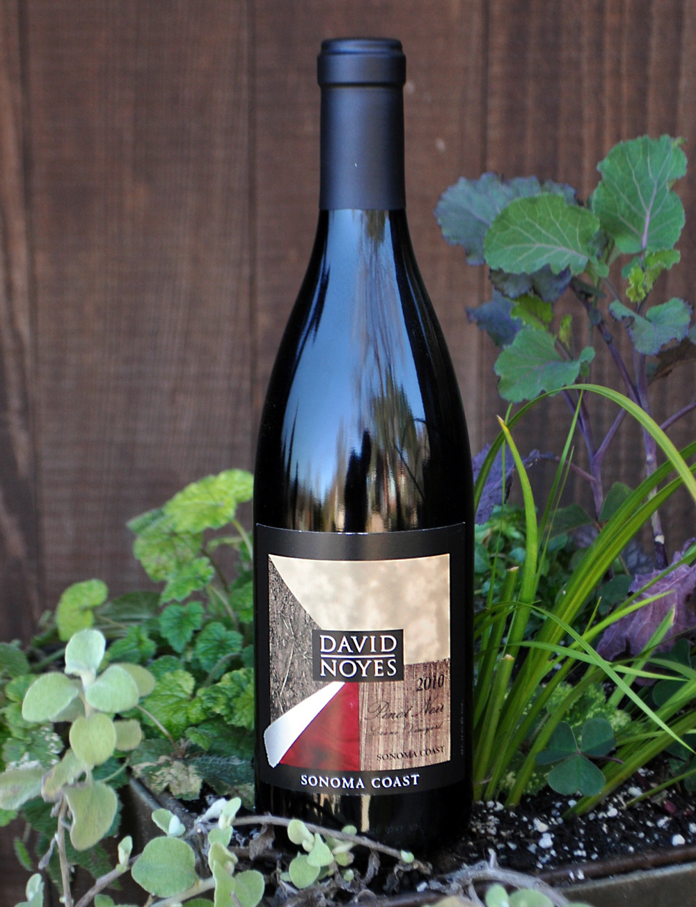David Noyes Wines 2010 Sonoma Coast Pinot Noir 750ml Wine Bottle