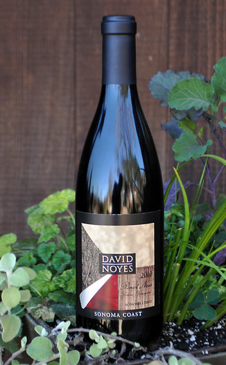 David Noyes Wines 2010 Sonoma Coast Pinot Noir 750ml Wine Bottle