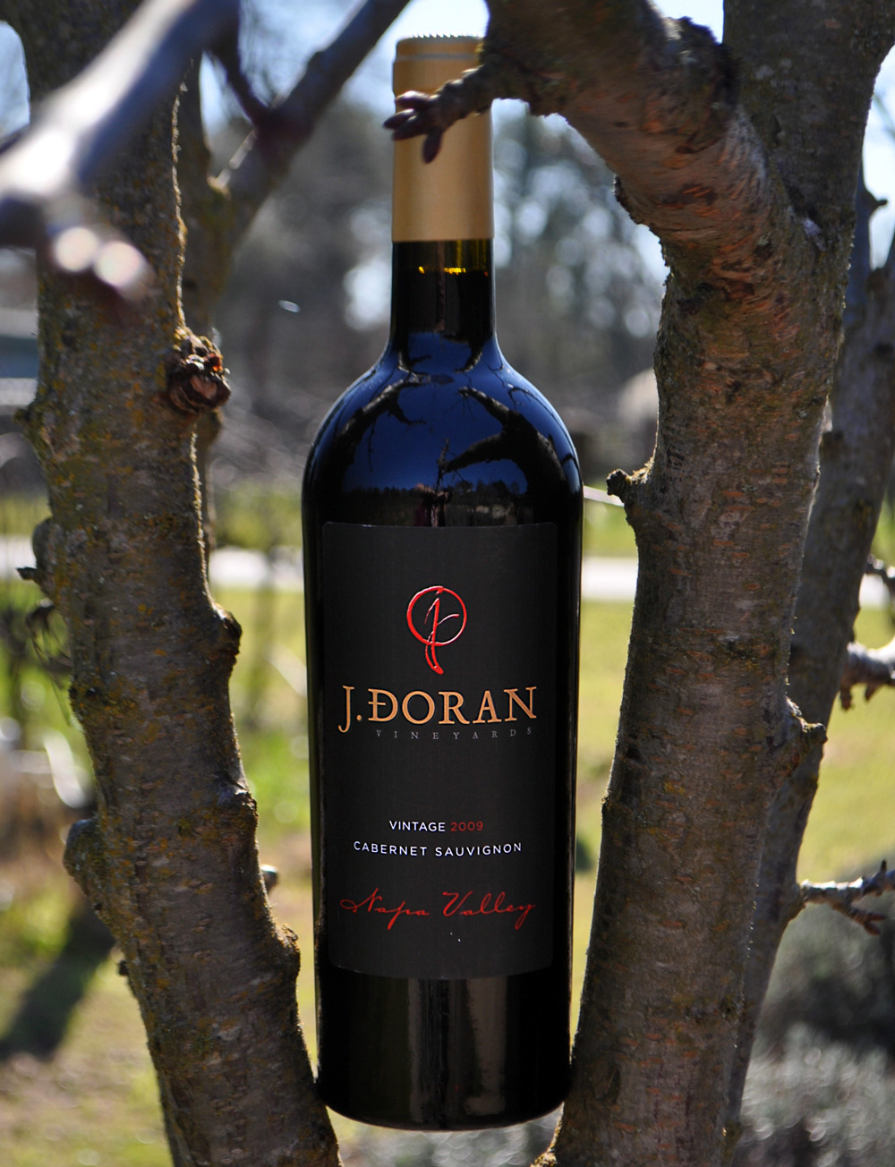 J. Doran Vineyards 2009 Cabernet Sauvignon 750ml Wine Bottle