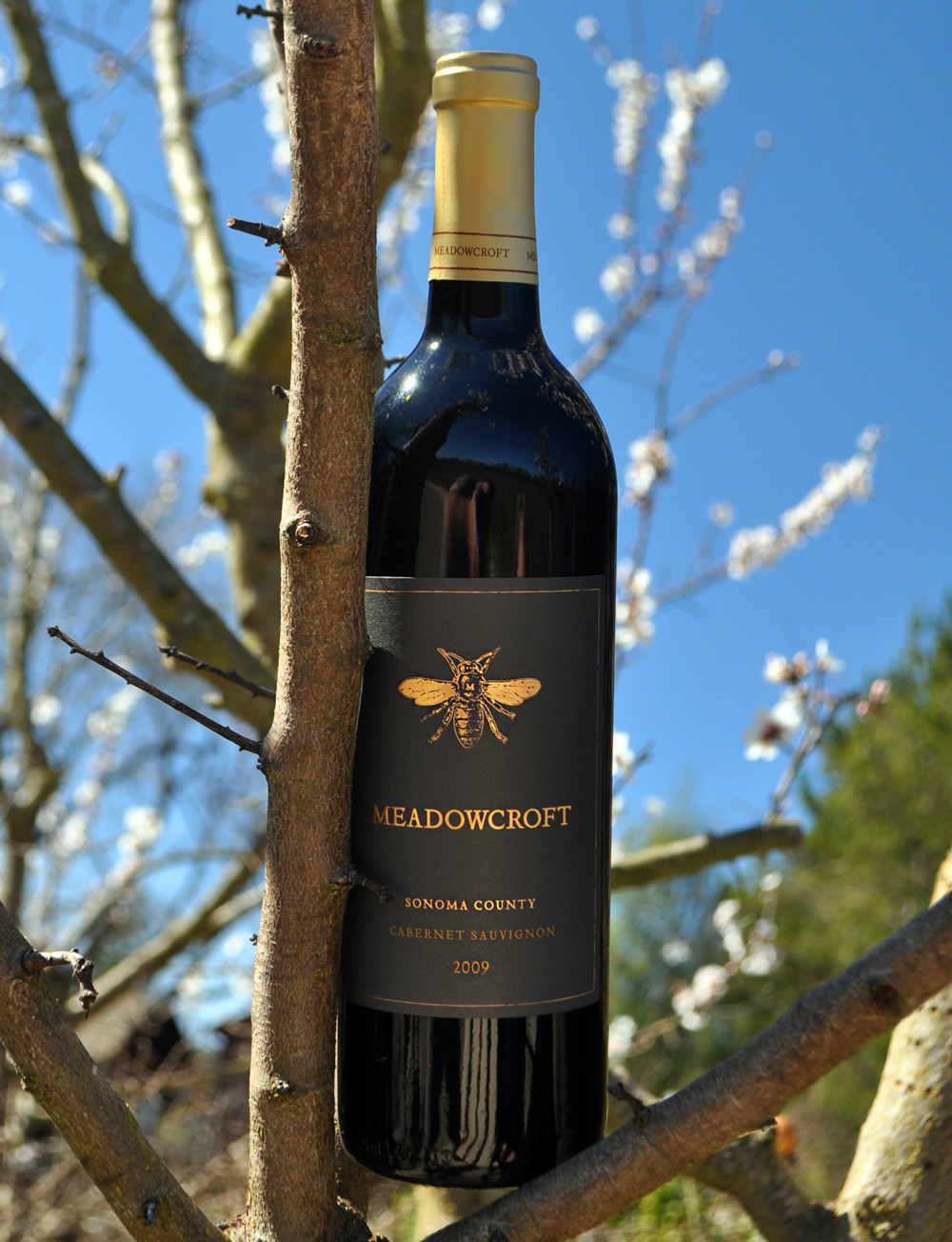 Meadowcroft Wines 2009 Sonoma County Cabernet Sauvignon 750ml Wine Bottle