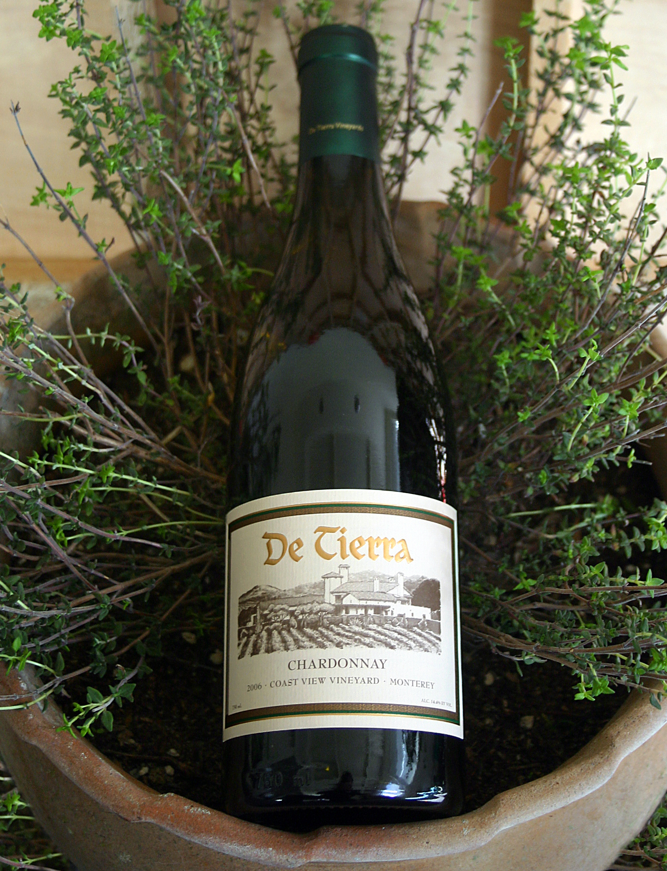DeTierra Vineyards 2006 Coast View Vineyard Chardonnay 750ml Wine Bottle