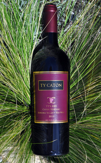 Ty Caton 2010 Ty's Red 750ml Wine Bottle