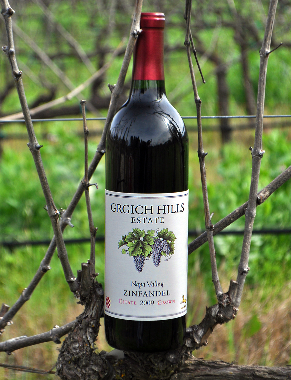 Grgich Hills Estate 2009 Napa Valley Zinfandel 750ml Wine Bottle