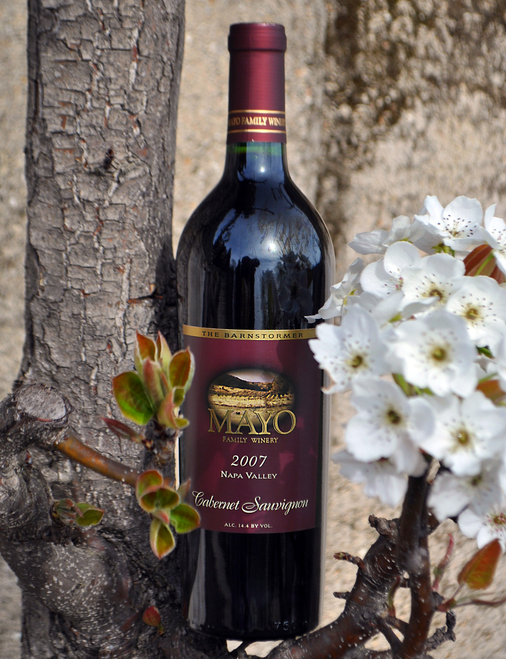 Mayo Family Winery 2007 Cabernet Sauvignon 750ml Wine Bottle