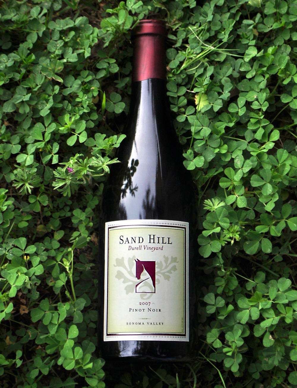 Sand Hill Winery 2007 Durell Vineyard Pinot Noir 750ml Wine Bottle