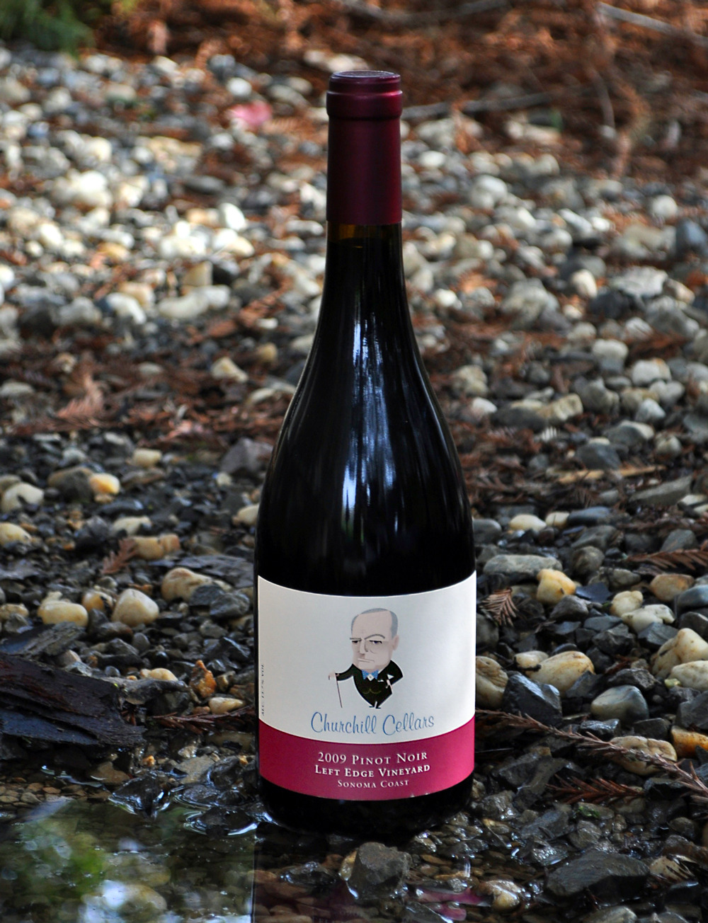 Churchill Cellars 2009 Left Edge Pinot Noir 750ml Wine Bottle