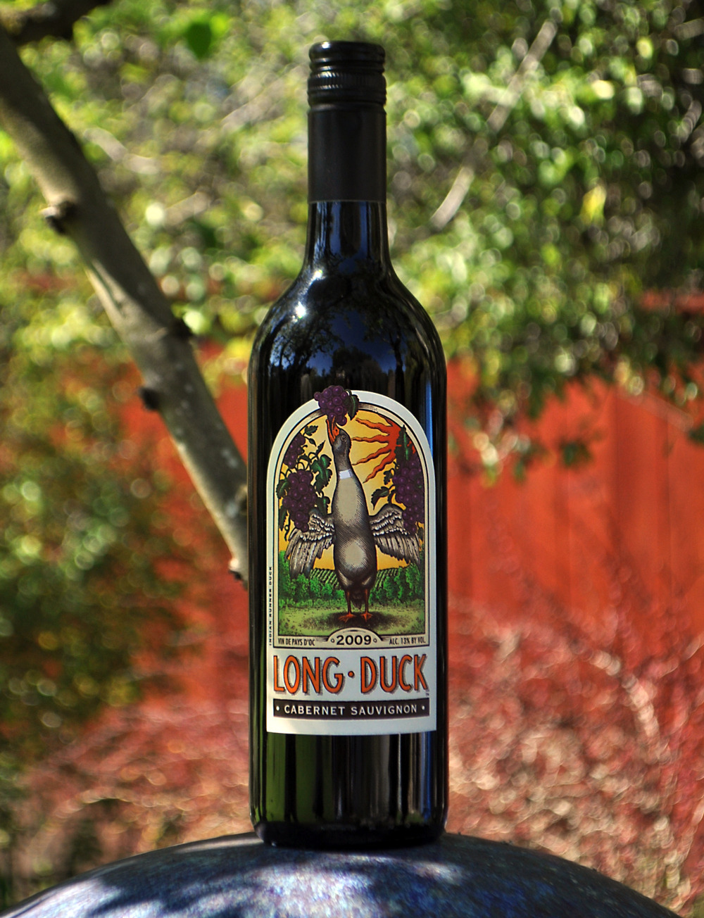 Long Duck 2009 Cabernet Sauvignon 750ml Wine Bottle