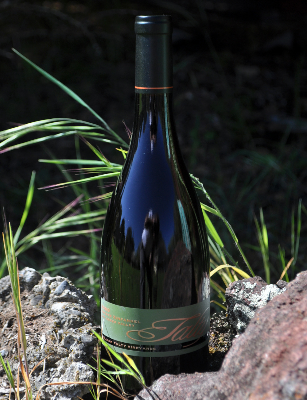 Talty Vineyards and Winery 2009 Dry Creek Valley Zinfandel 750ml Wine Bottle