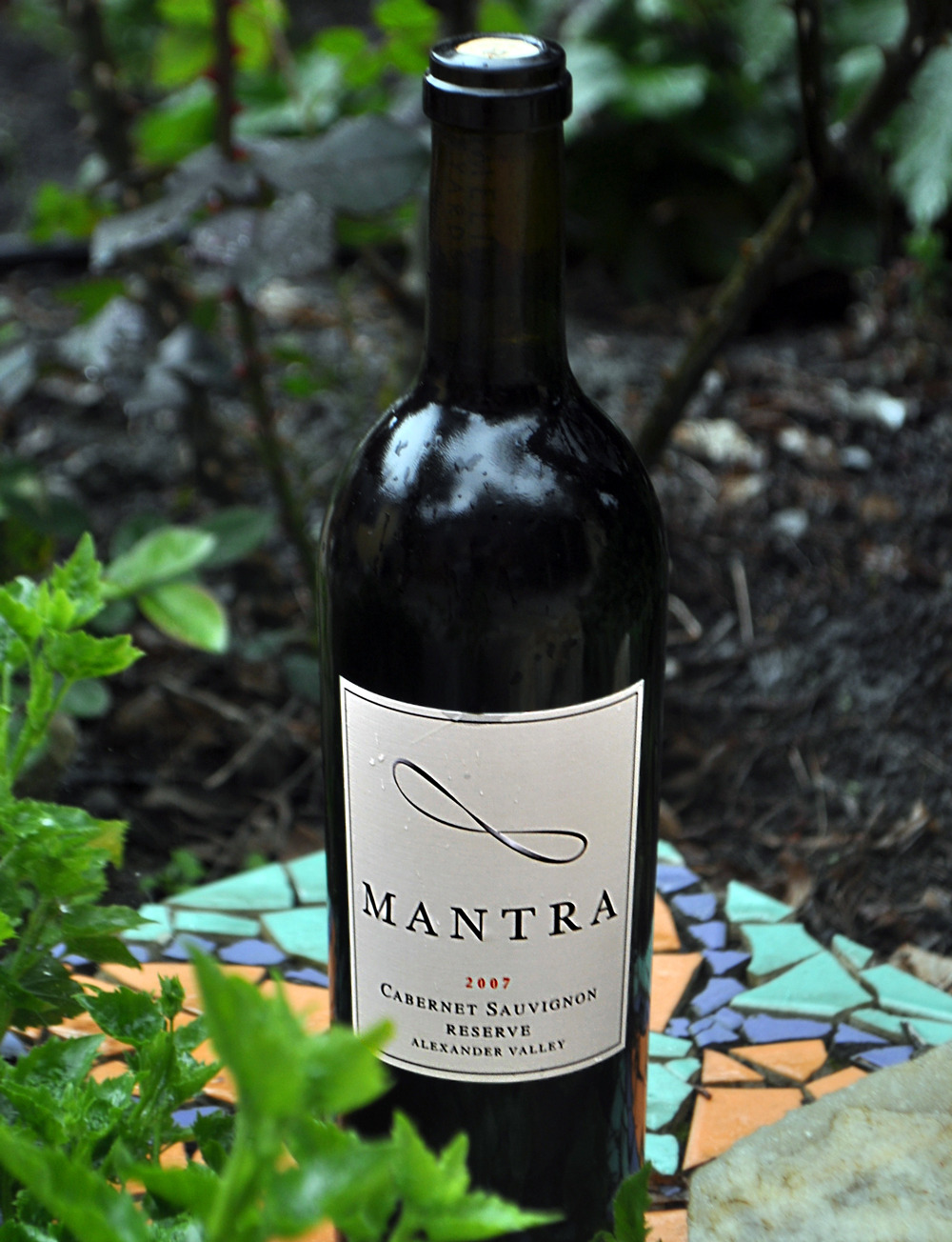 Mantra 2007 Reserve Cabernet Sauvignon 750ml Wine Bottle