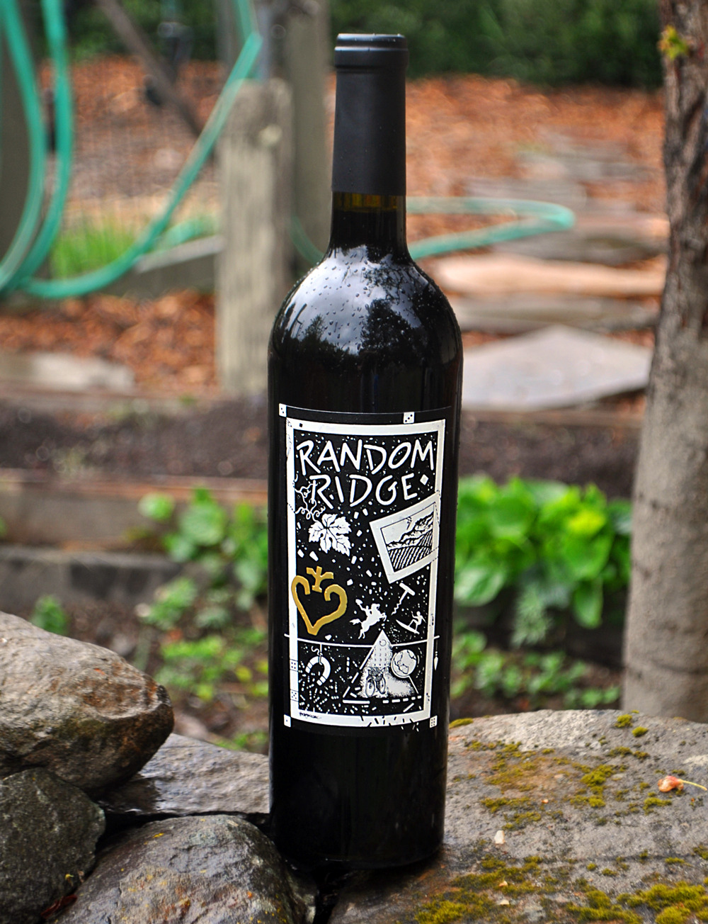 Random Ridge 2008 Cabernet Sauvignon 750ml Wine Bottle