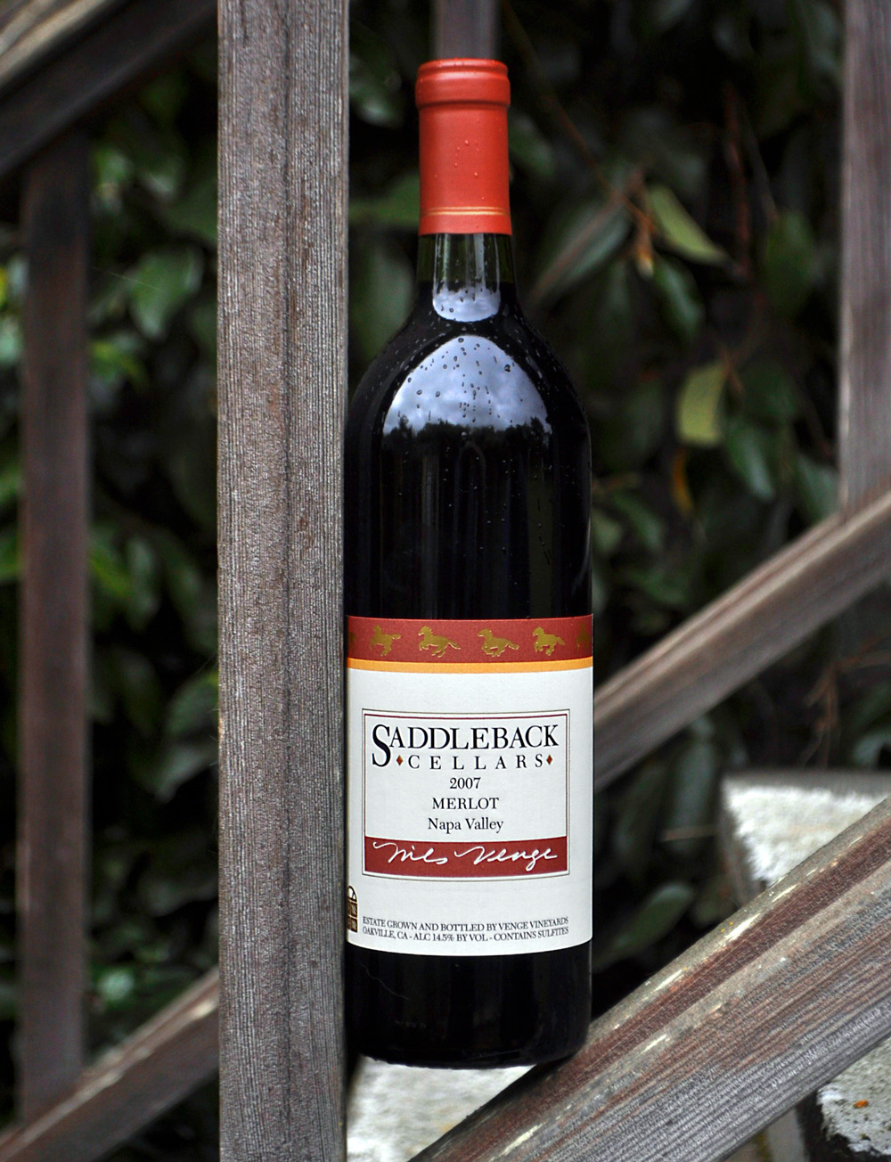 Saddleback Cellars 2007 Napa Valley Merlot 750ml Wine Bottle