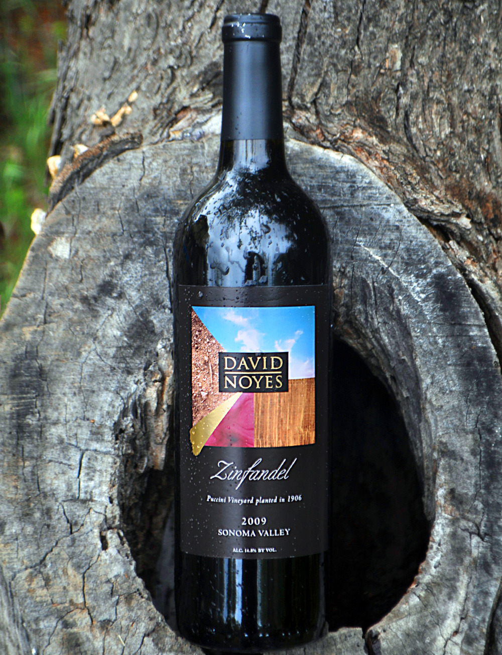 David Noyes Wines 2009 Puccini Vineyard Zinfandel 750ml Wine Bottle