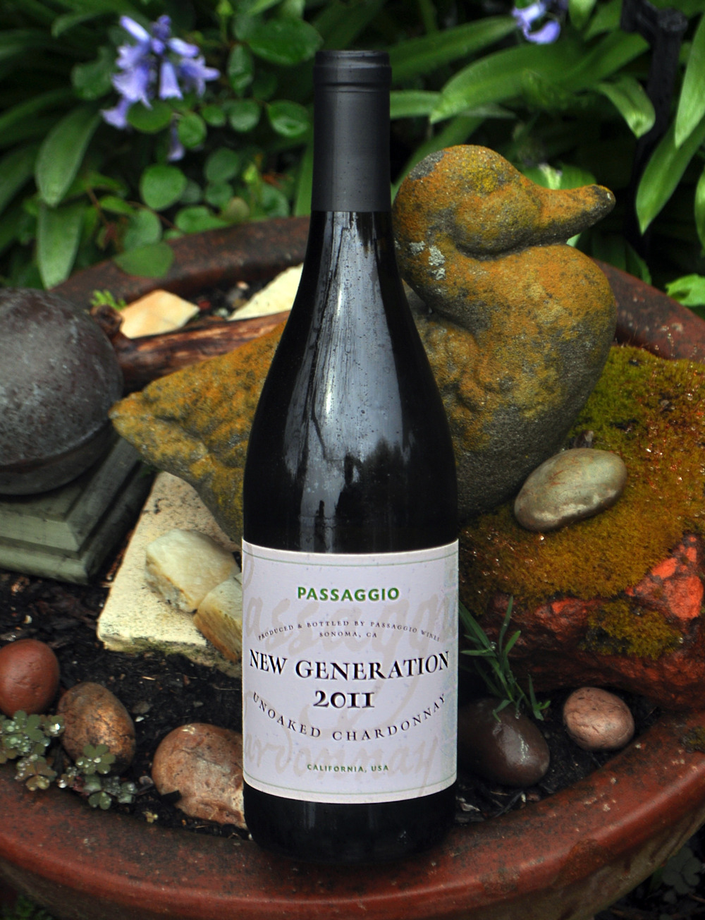 Passaggio Wines 2011 Unoaked Chardonnay 750ml Wine Bottle