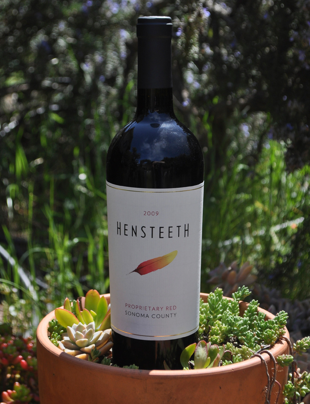 Hensteeth Winery 2009 Hensteeth Proprietary Red 750ml Wine Bottle