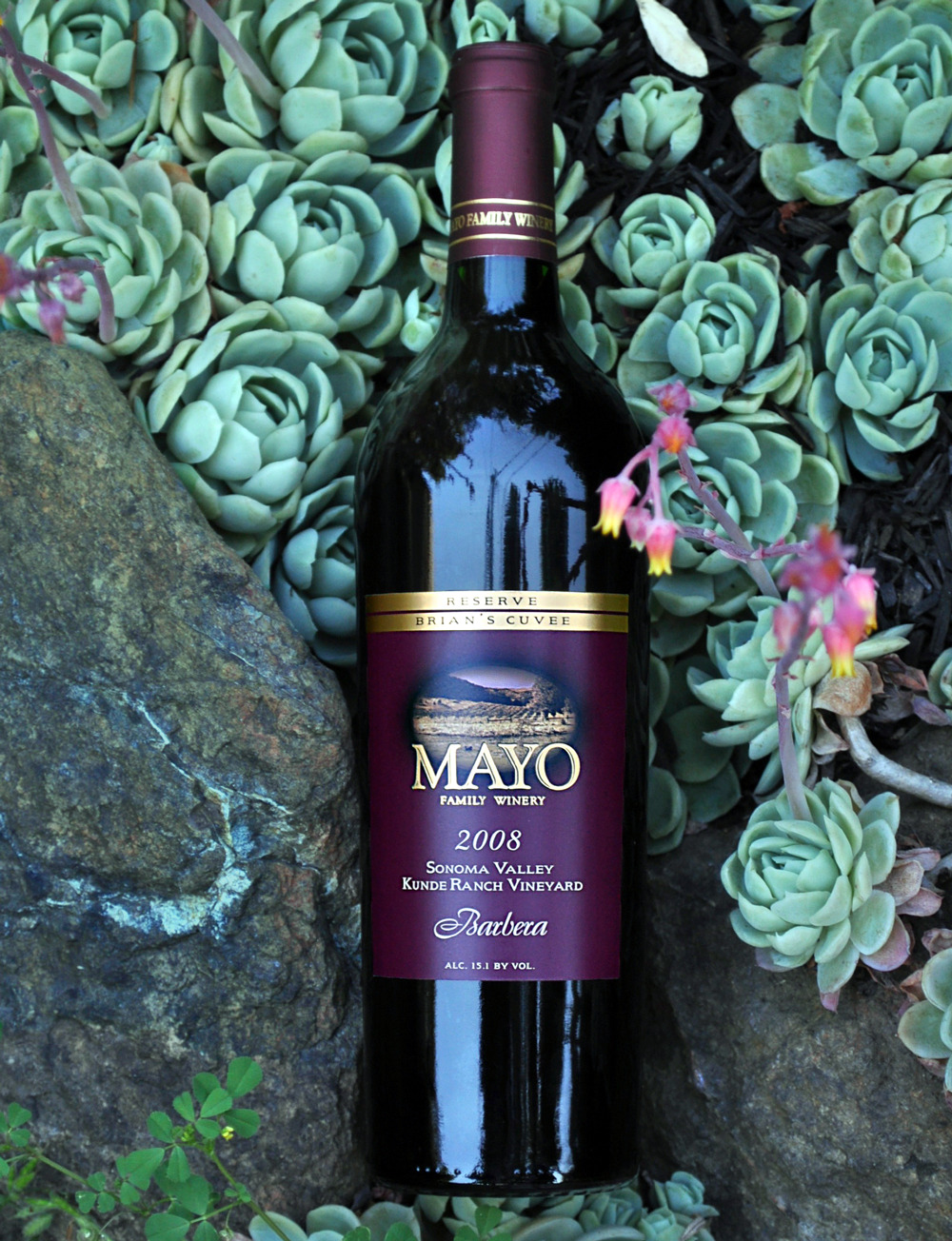 Mayo Family Winery 2009 Ricci Vineyard Zinfandel 750ml Wine Bottle