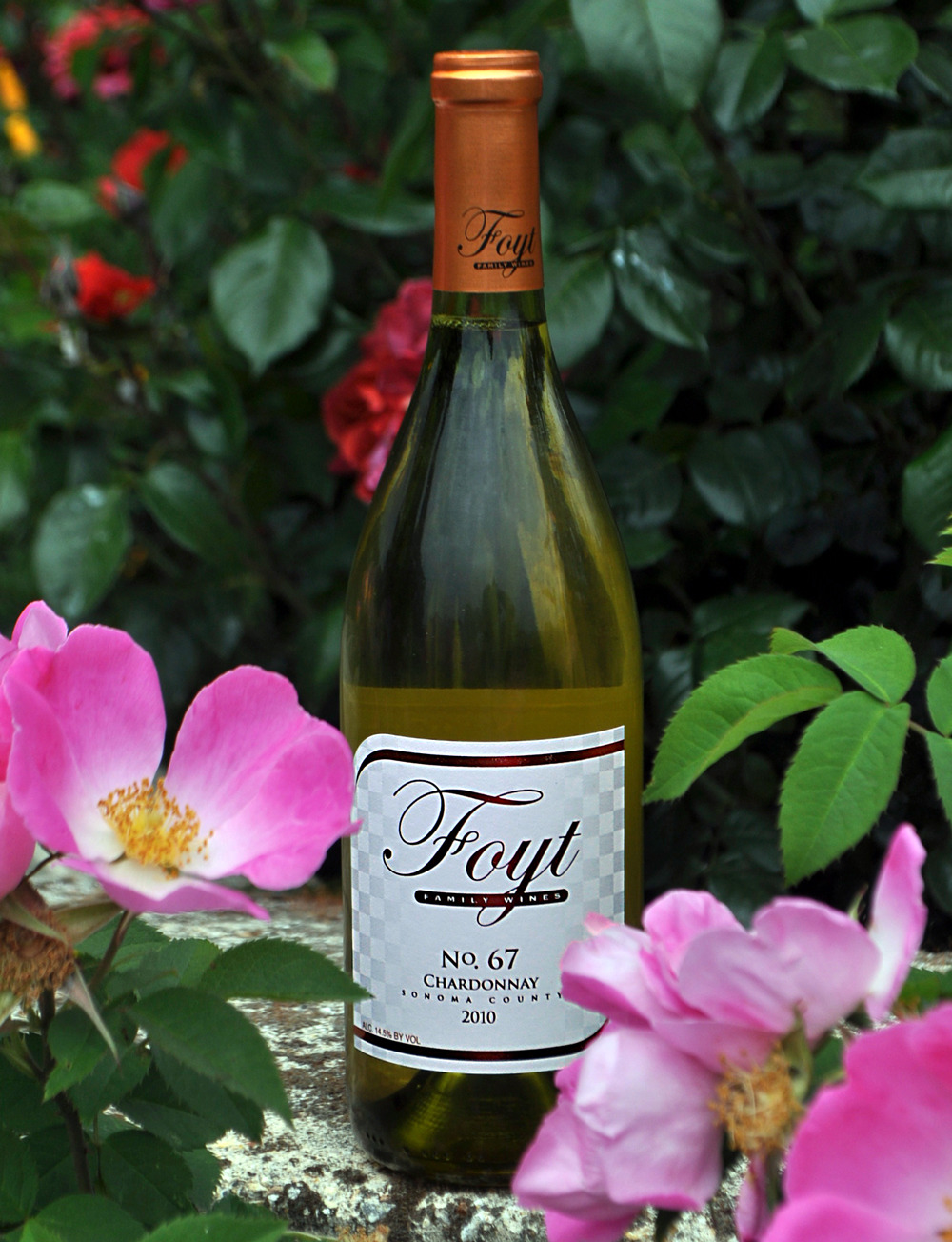 Foyt Family Wines 2010 #67 Chardonnay Sonoma Coast 750ml Wine Bottle