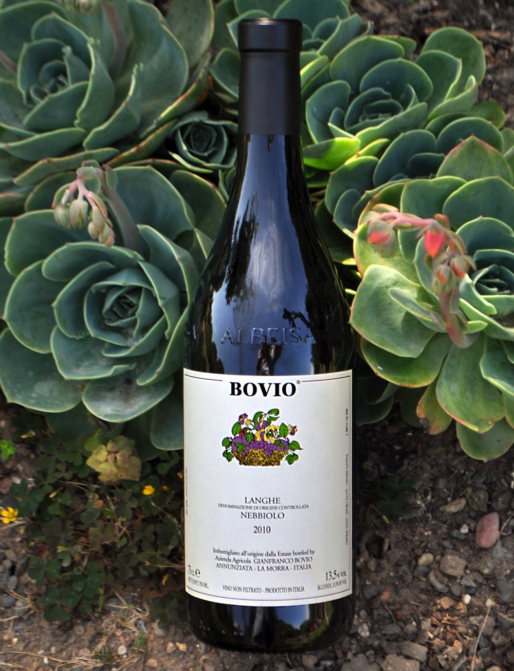 Bovio Gianfranco 2010 Bovio La Morra Nebbiolo 750ml Wine Bottle