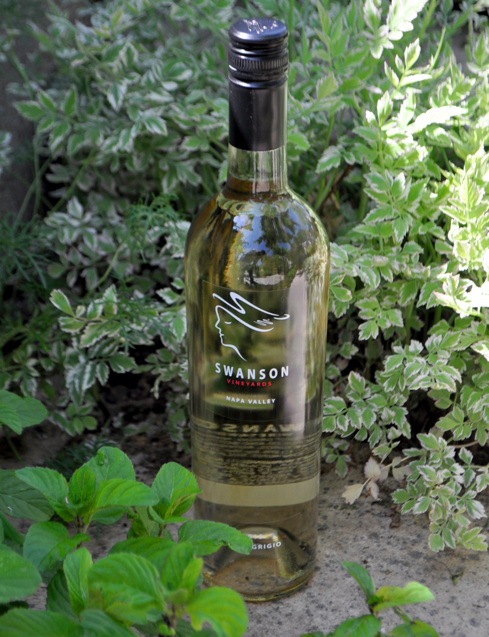 Swanson Vineyards 2010 Pinot Grigio 750ml Wine Bottle