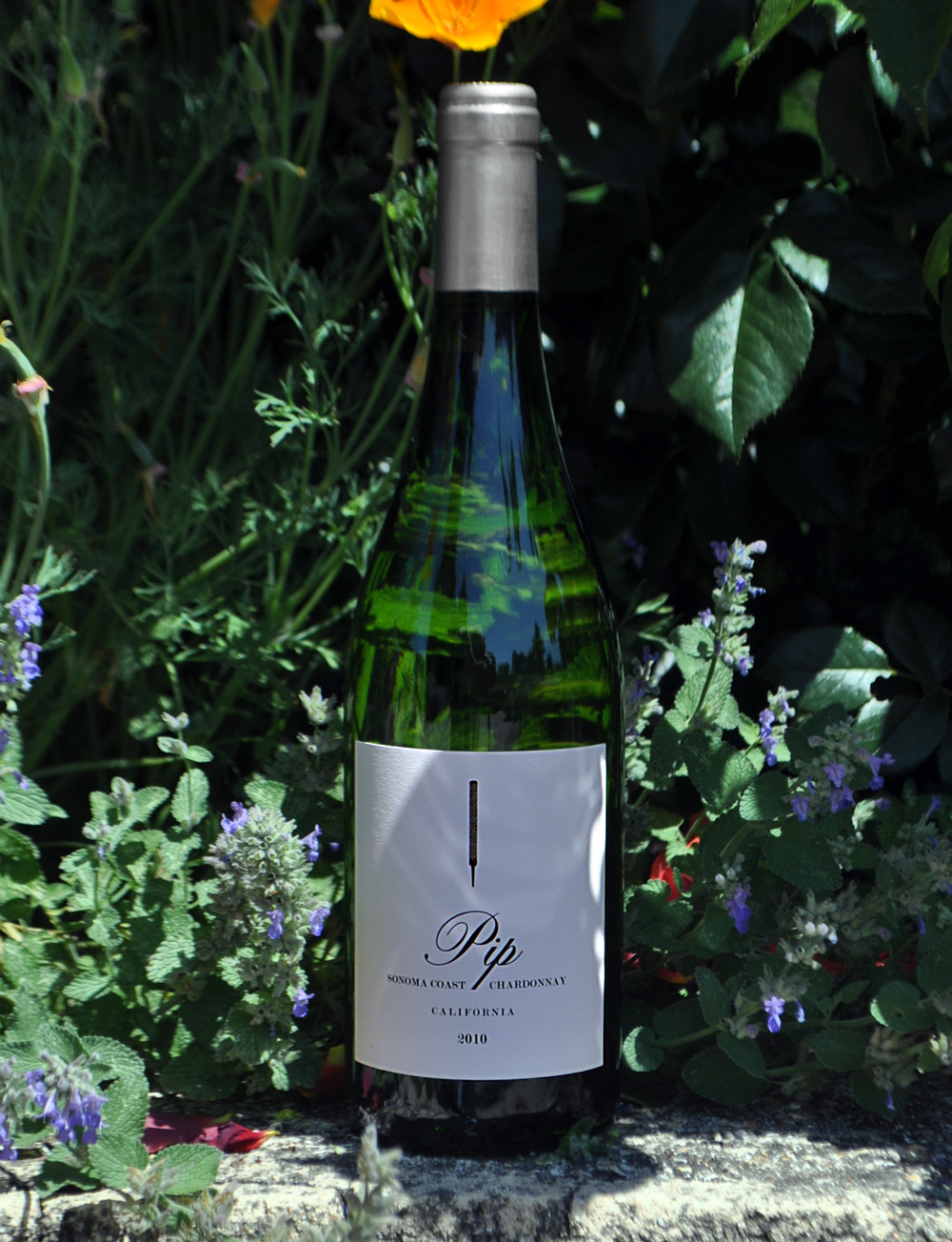 Sand Hill Winery 2010 Sonoma Coast Chardonnay 750ml Wine Bottle