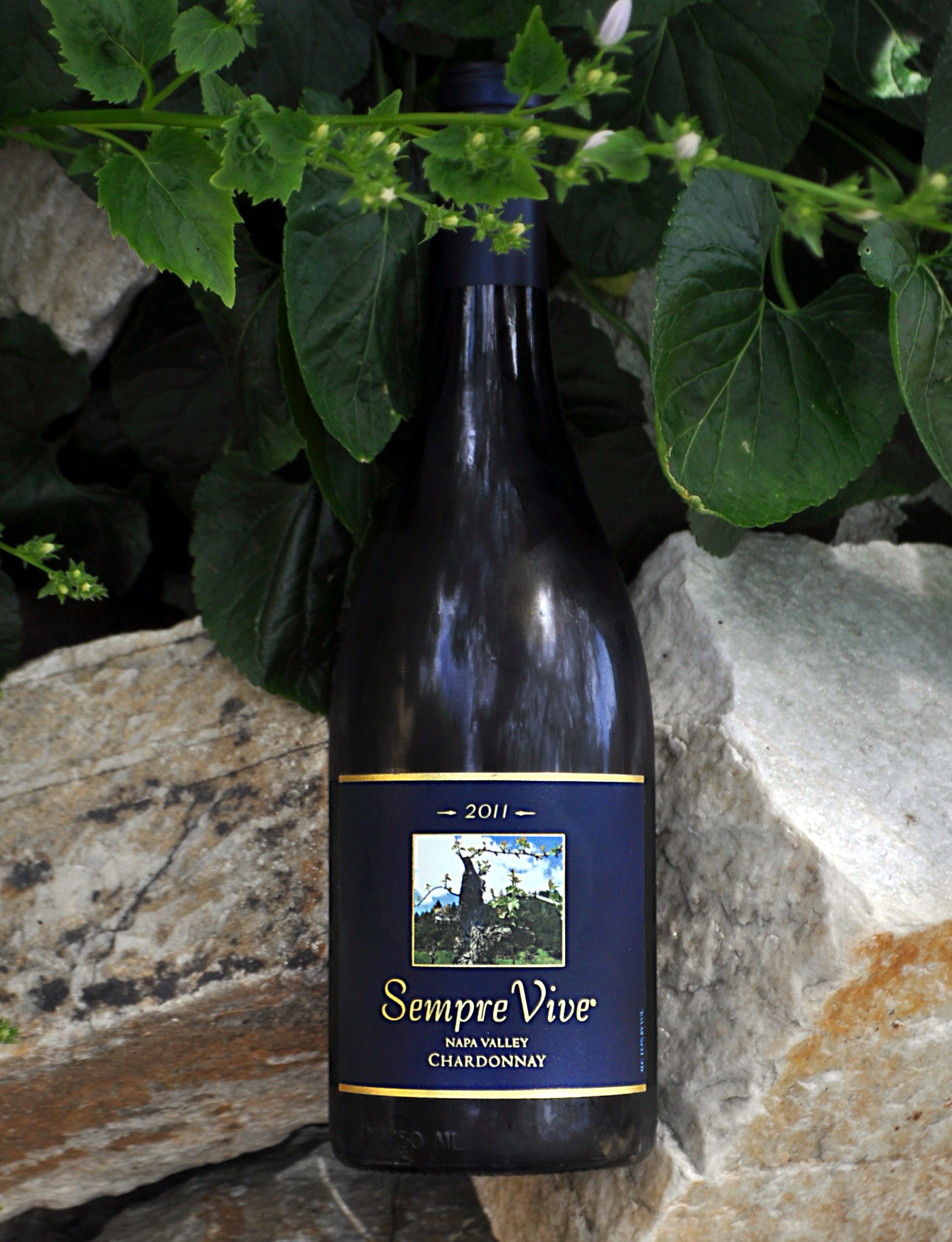 Romeo Vineyards 2011 Napa Valley Chardonnay 750ml Wine Bottle