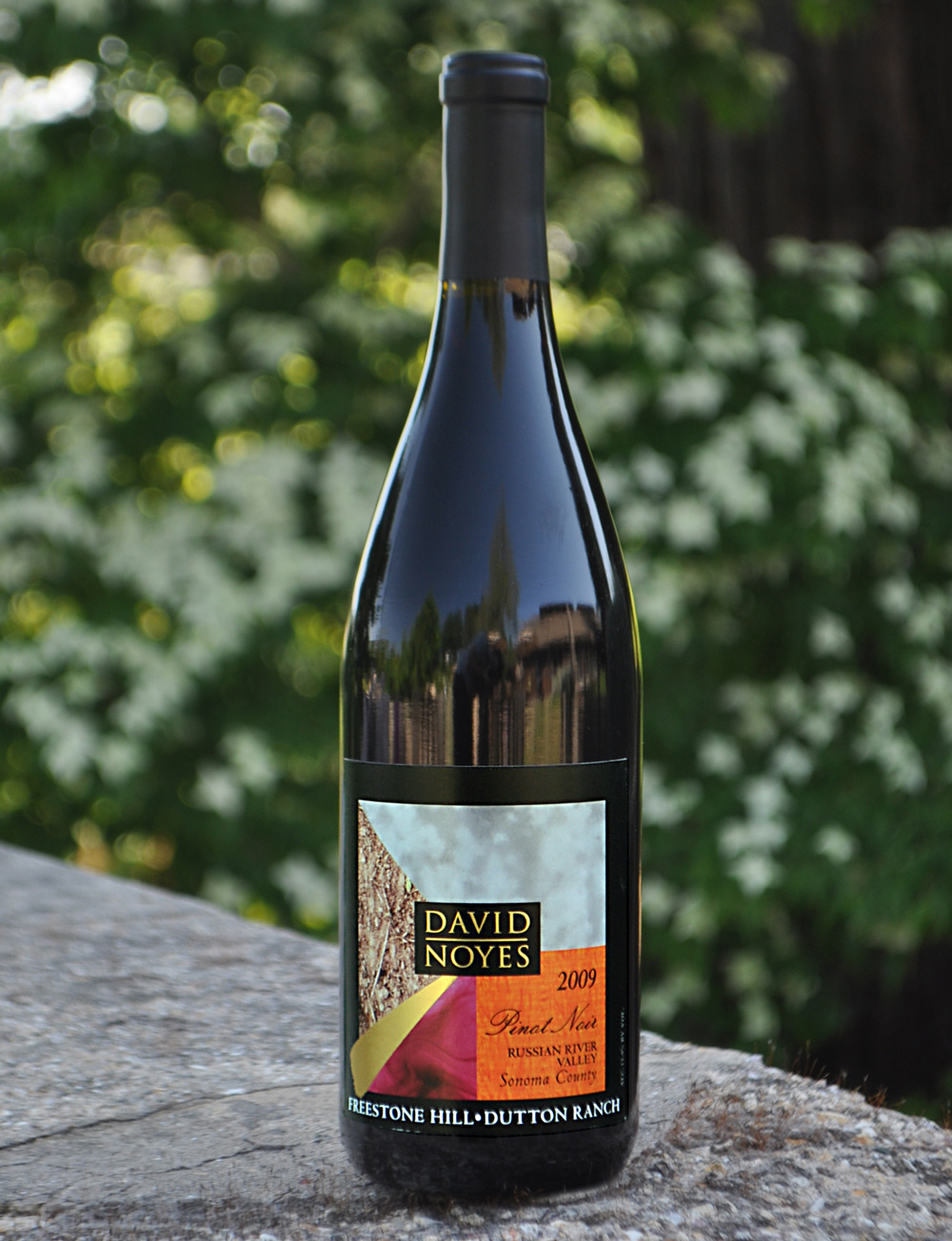 David Noyes Wines 2009 Freestone Vineyard Pinot Noir 750ml Wine Bottle