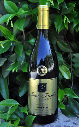 James Family Cellars 2009 Stony Point Vineyard Pinot Noir 750ml Wine Bottle