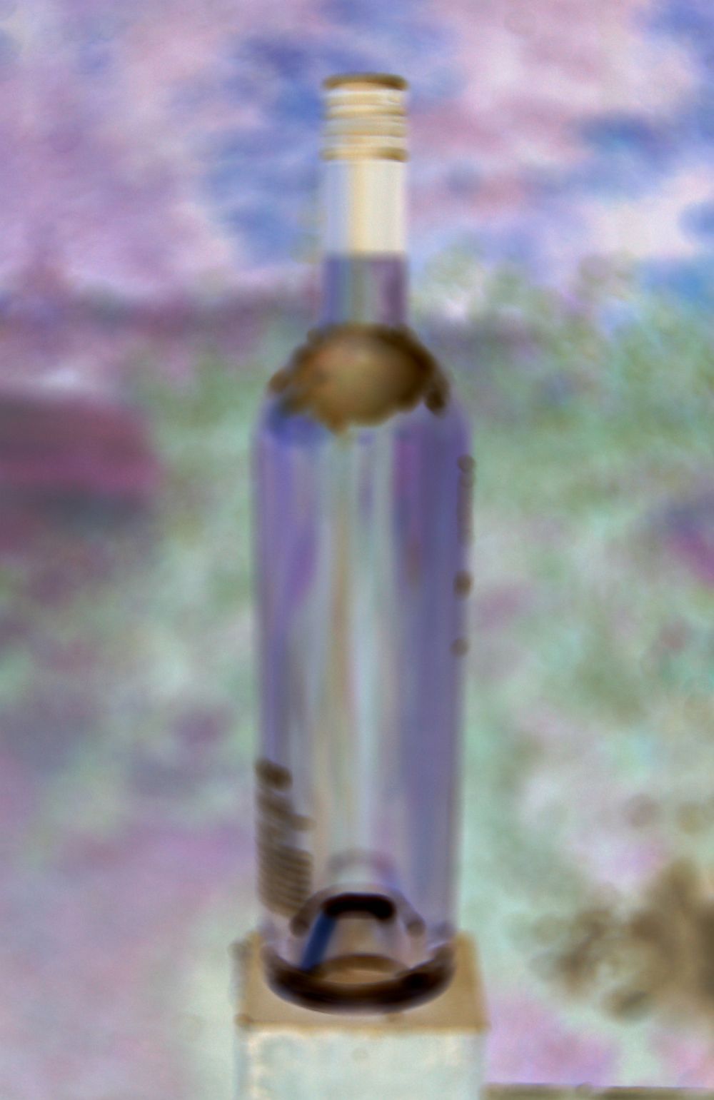 Mystery 2 Wines 2006 Pinot Noir 750ml Wine Bottle