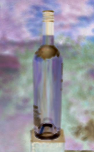 Mystery 2 Wines 2006 Pinot Noir 750ml Wine Bottle