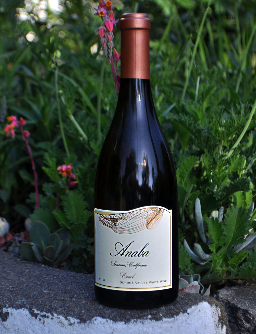 Anaba Wines 2010 Coriol Sonoma Valley White Wine 750ml Wine Bottle