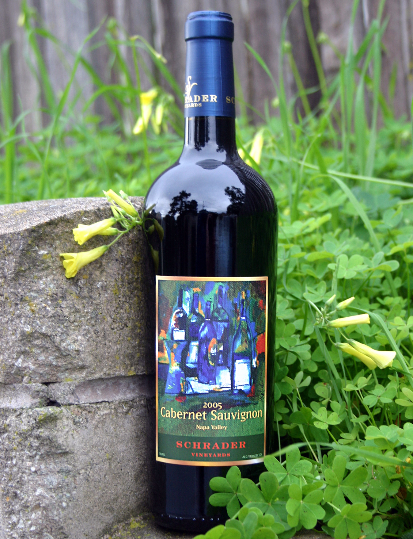 Schrader Cellars 2005 Cabernet Sauvignon 750ml Wine Bottle