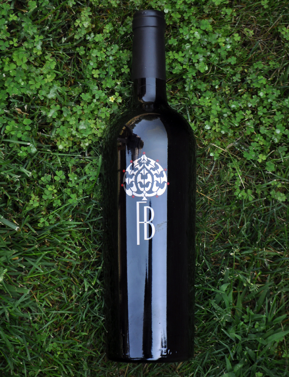 Fotinos Brothers 2009 Napa Valley Cabernet Sauvignon 750ml Wine Bottle