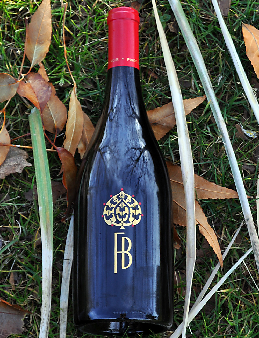 Fotinos Brothers 2009 Los Carneros Pinot Noir 750ml Wine Bottle