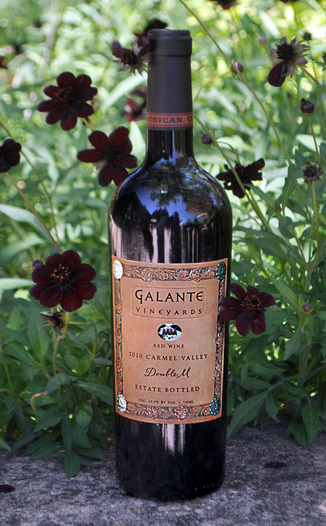 Galante Vineyards 2010 Carmel Valley Double M Red Wine 750ml Wine Bottle