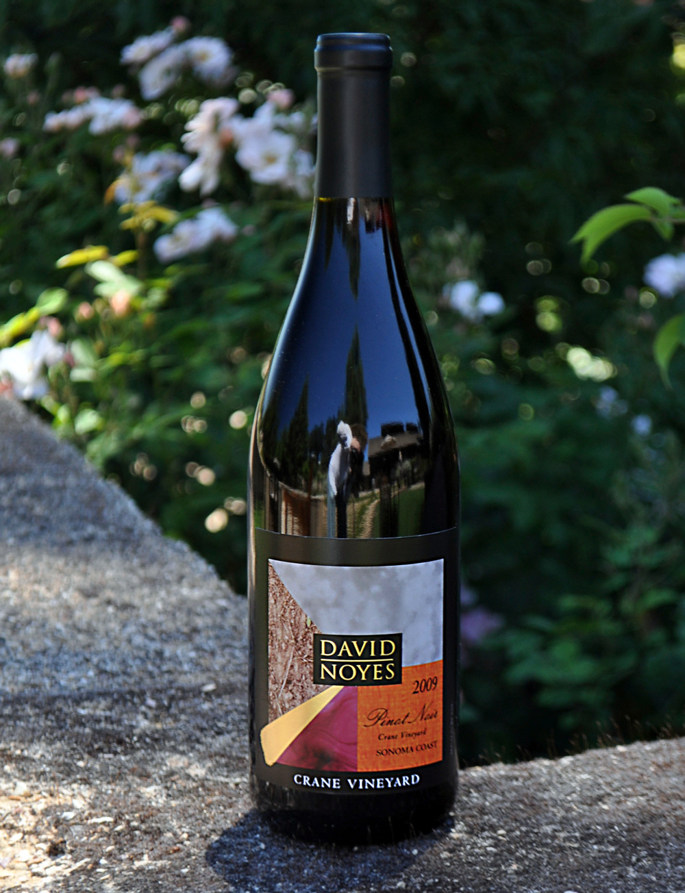 David Noyes Wines 2009 Crane Vineyard Sonoma Coast Pinot Noir 750ml Wine Bottle