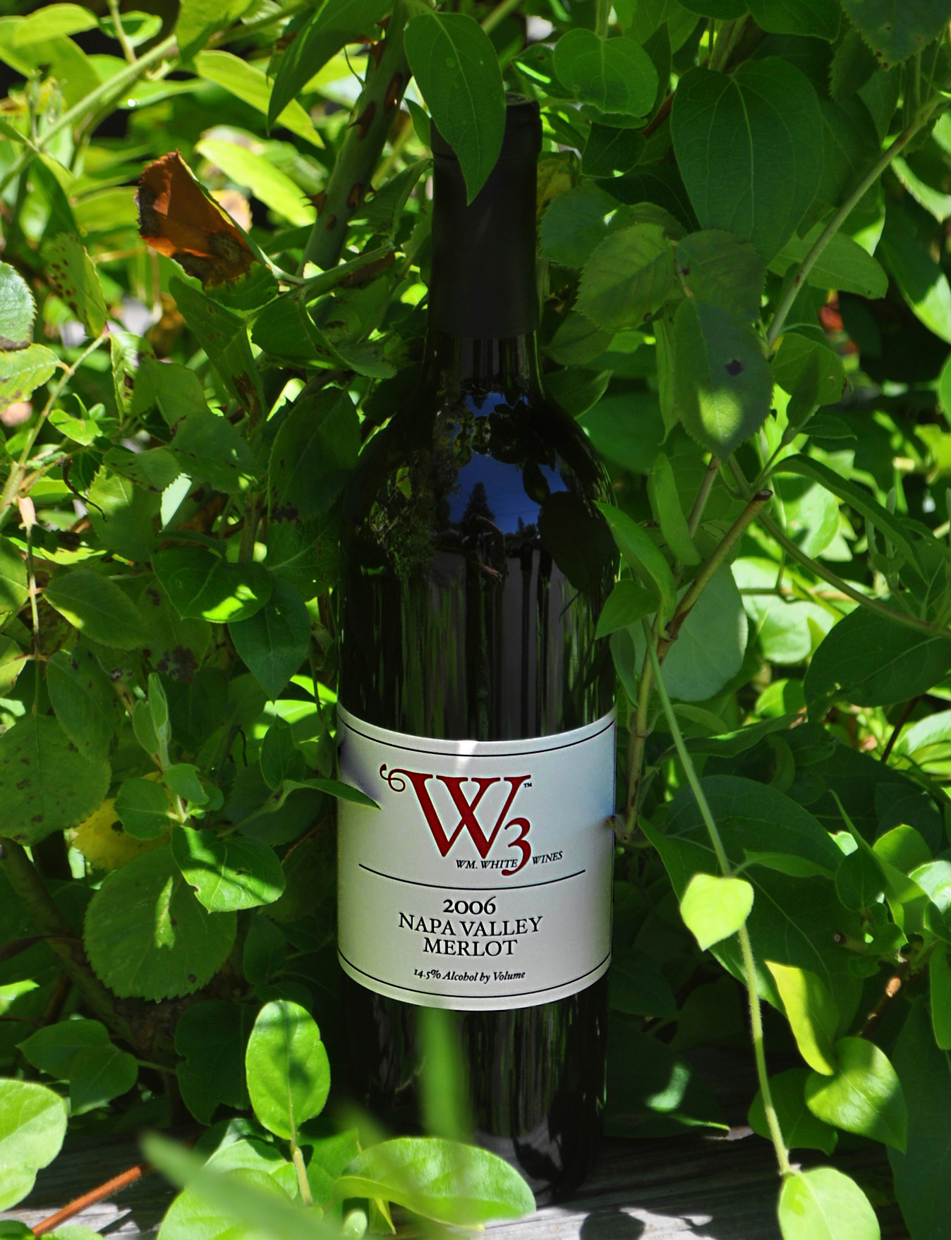 W3 - William White Wines 2006 Napa Valley Merlot 750ml Wine Bottle