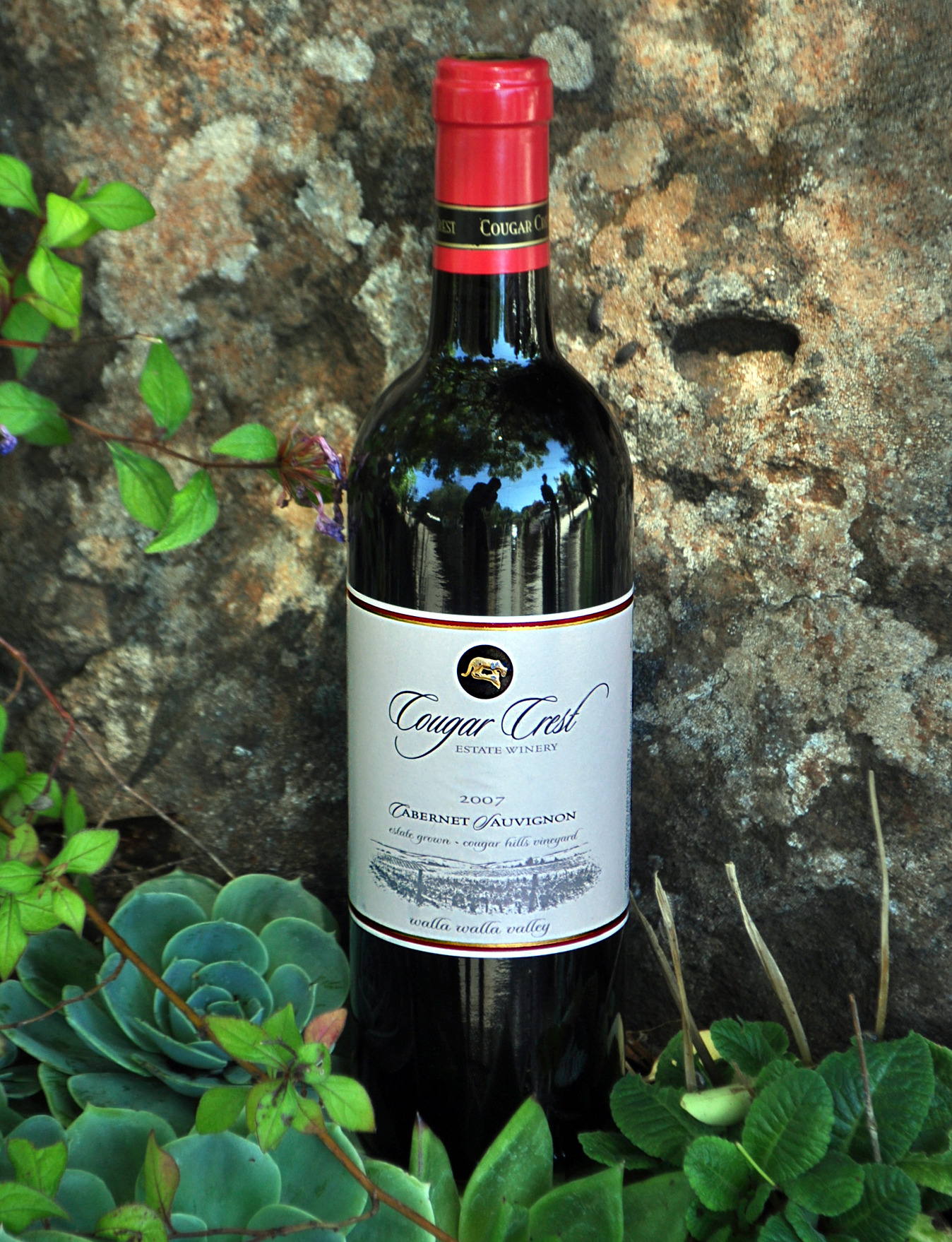 Cougar Crest Winery 2007 Cabernet Sauvignon 750ml Wine Bottle