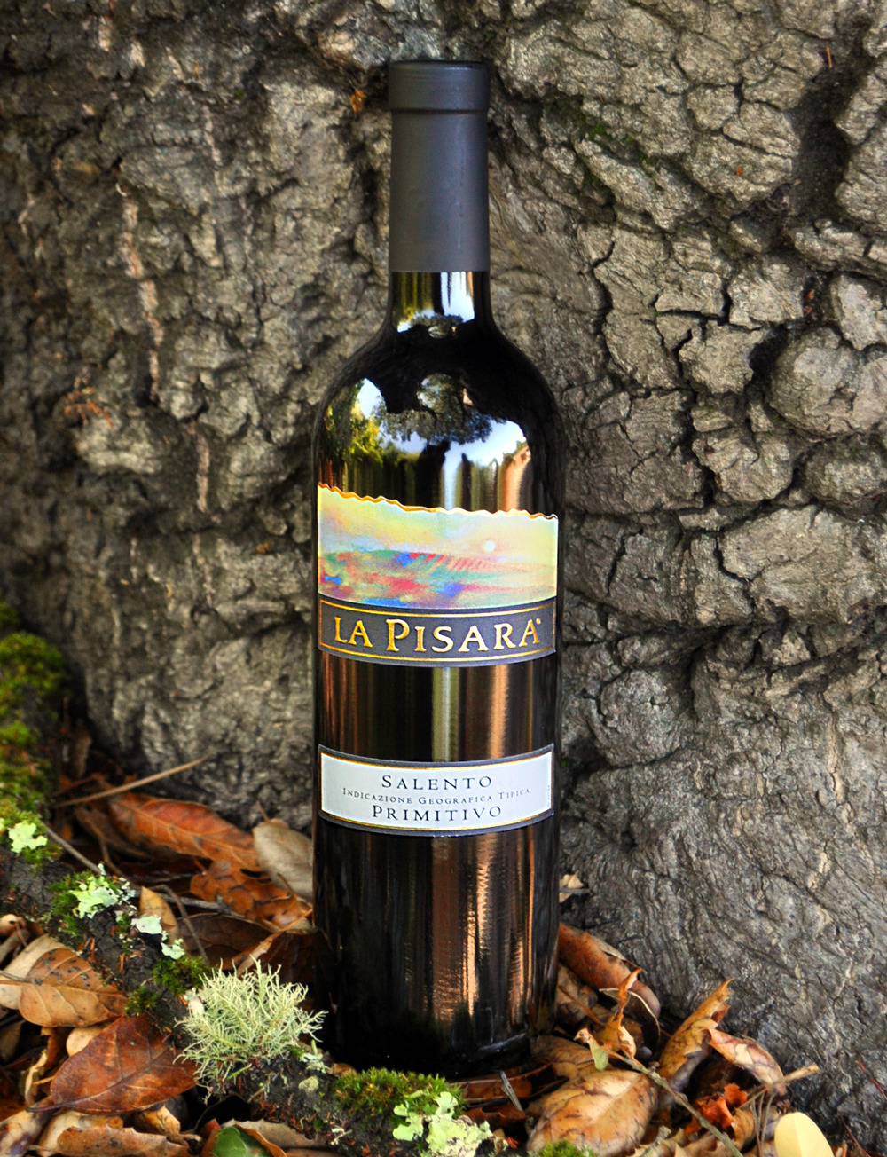 Moletto Società Agricola 2009 Primitivo 750ml Wine Bottle