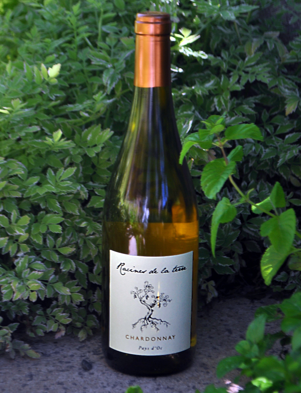 Racines de la Terre 2011 Chardonnay 750ml Wine Bottle