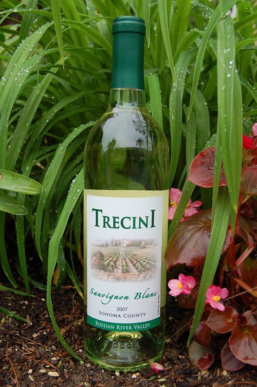 Trecini Cellars 2007 Sauvignon Blanc 750ml Wine Bottle