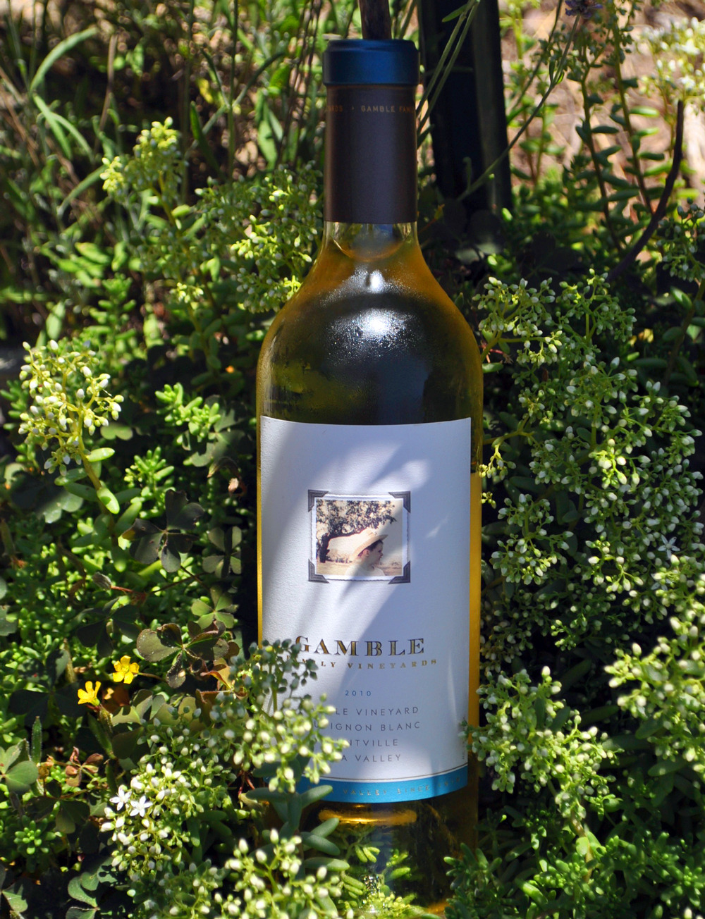 Gamble Family Vineyards 2010 Sauvignon Blanc 750ml Wine Bottle
