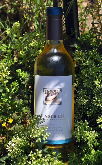 Gamble Family Vineyards 2010 Sauvignon Blanc 750ml Wine Bottle