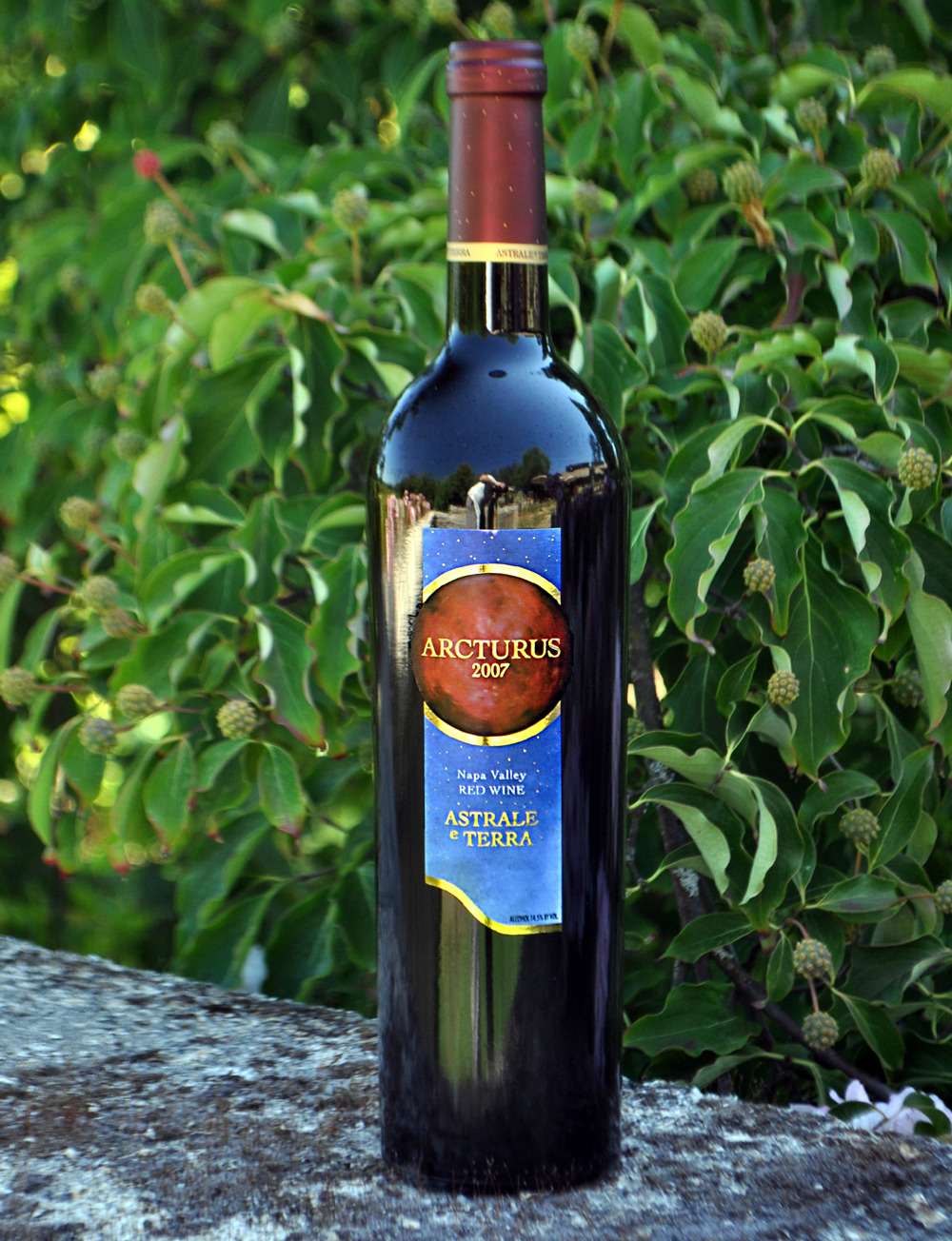 Astrale e Terra (closed) 2007 Arcturus Napa Valley Red Wine 750ml Wine Bottle