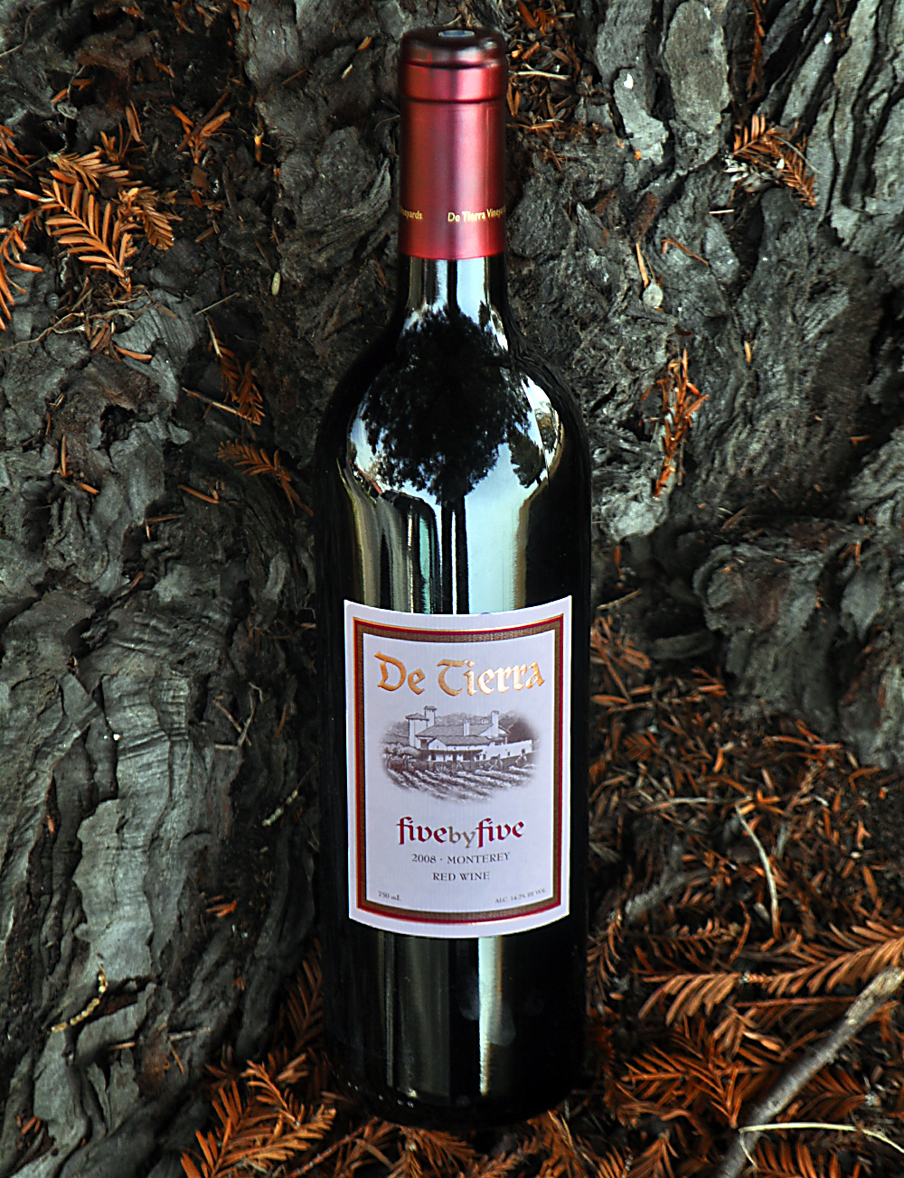 De Tierra Vineyards 2008 Five by Five Bordeaux Blend 750ml Wine Bottle