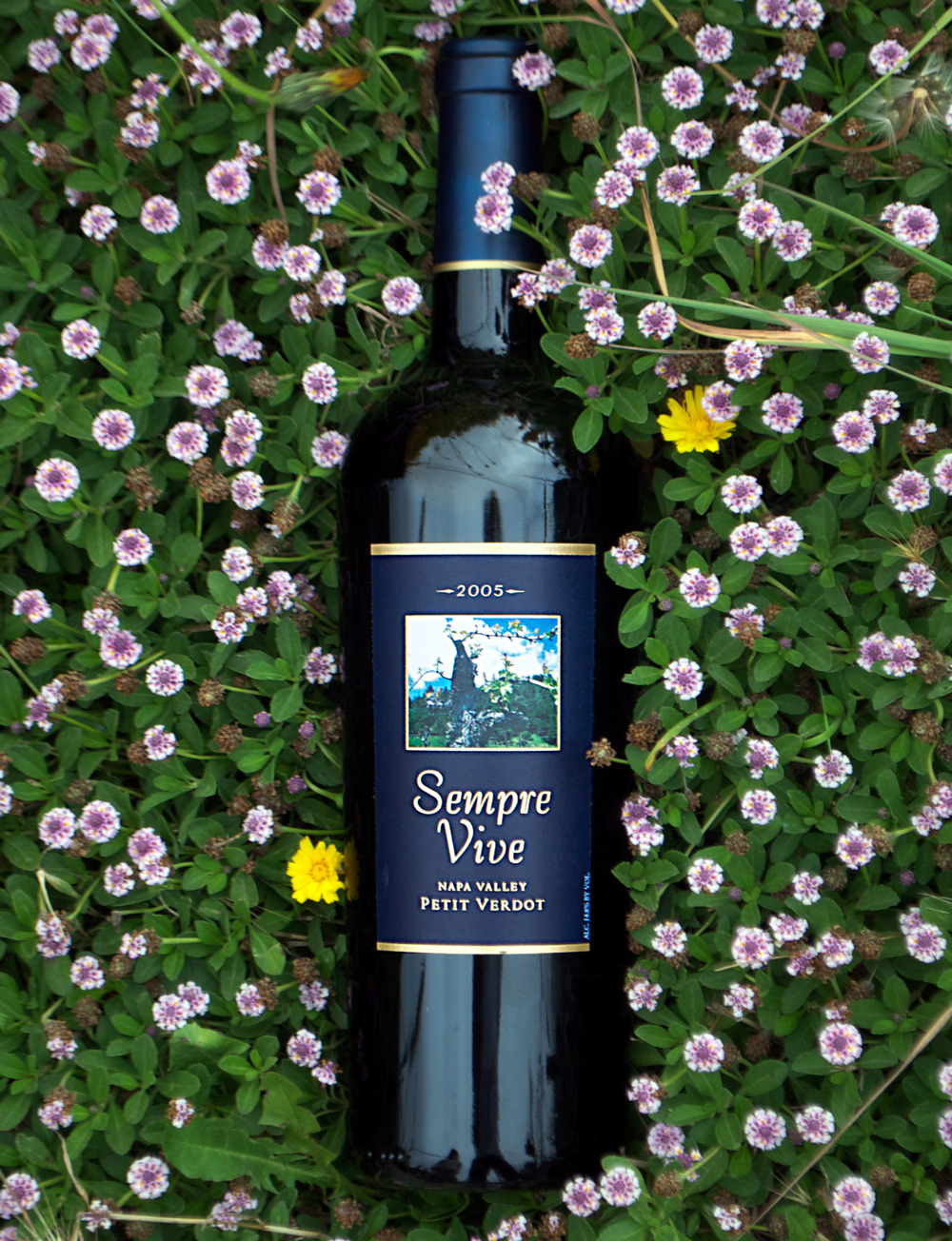 Romeo Vineyards 2005 Petite Verdot 750ml Wine Bottle